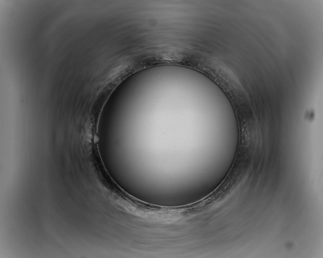 X0000099290032200805090941
