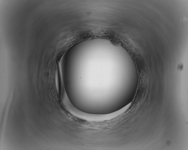 X0000099290033200805090941