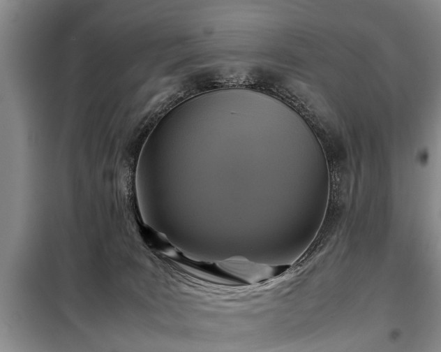 X0000099290035200805090941