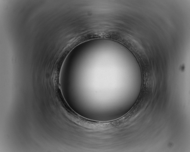 X0000099290036200805090941