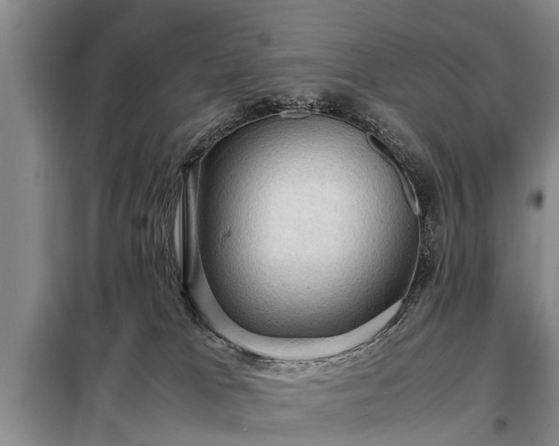 X0000099290037200805090941