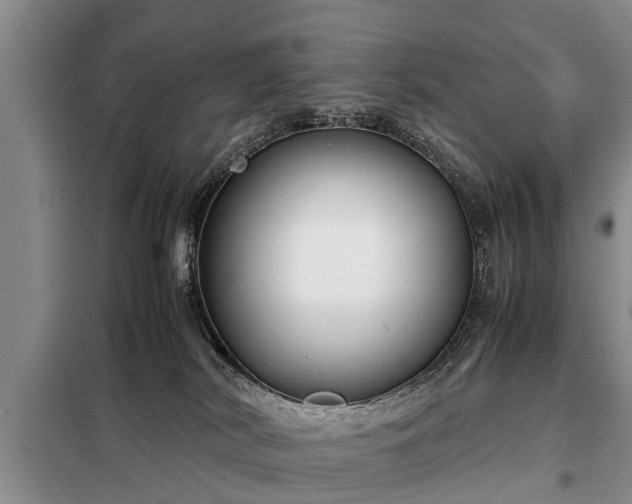 X0000099290038200805090941