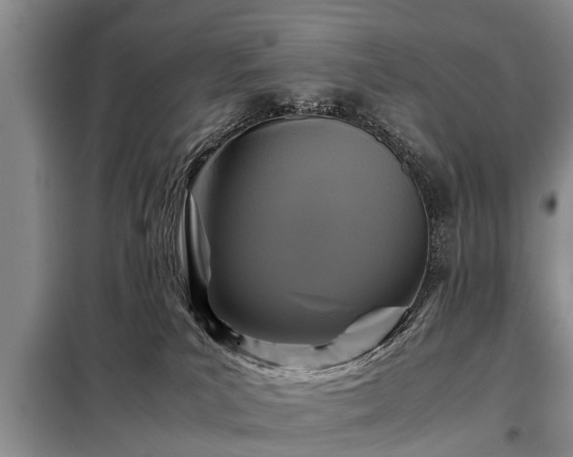 X0000099290039200805090941