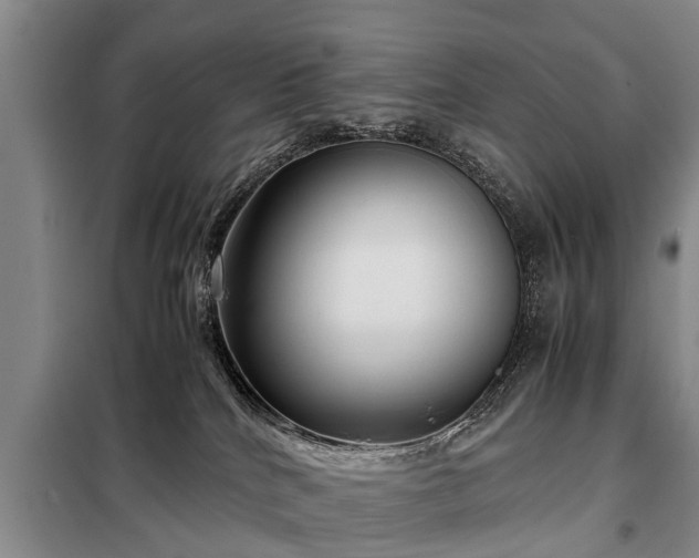 X0000099290040200805090941
