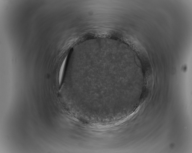 X0000099290041200805090941
