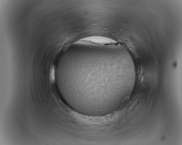 X0000099290042200805090941