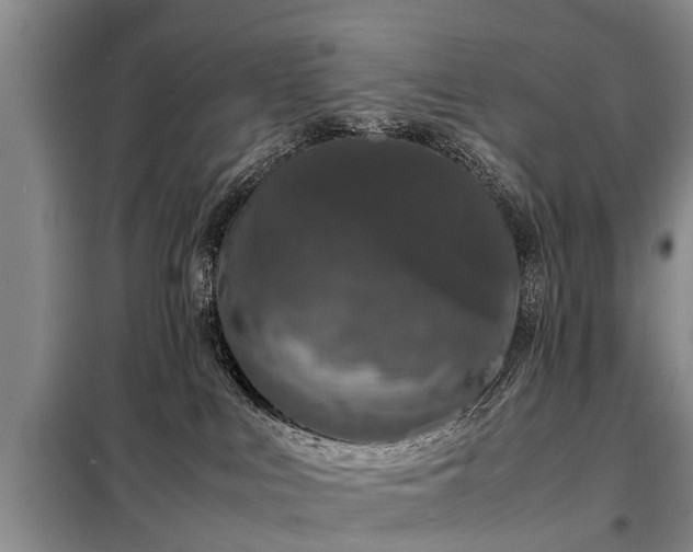 X0000099290043200805090941
