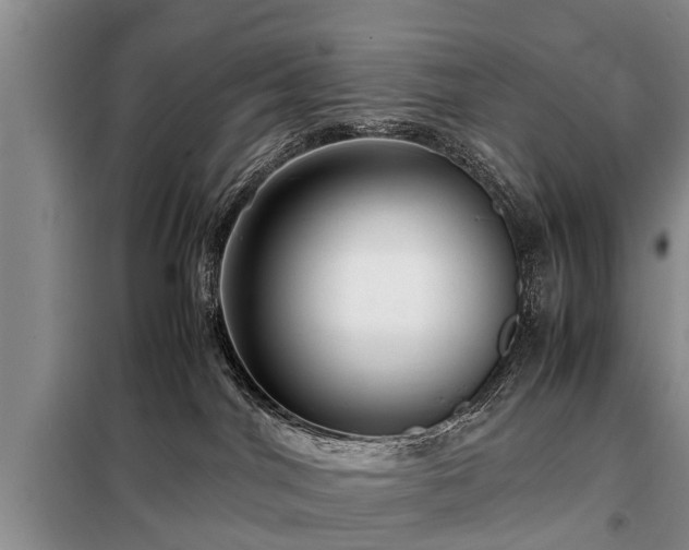 X0000099290044200805090941