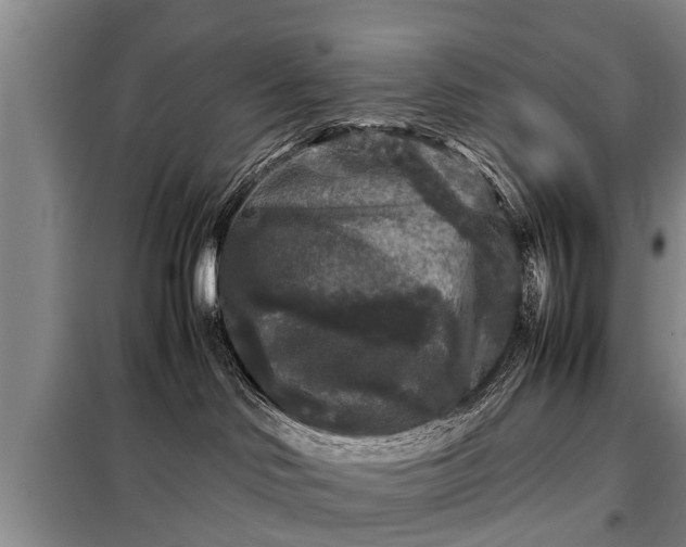 X0000099290046200805090941