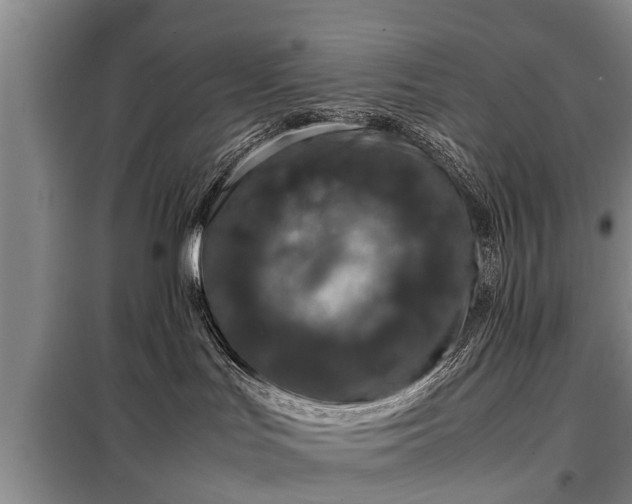 X0000099290047200805090941