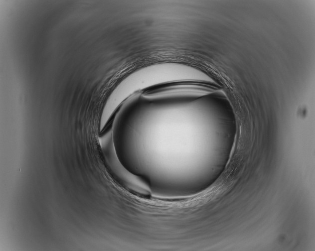 X0000099290048200805090941