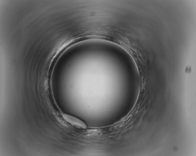 X0000099290050200805090940