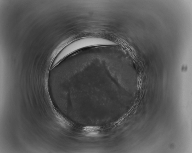 X0000099290051200805090940