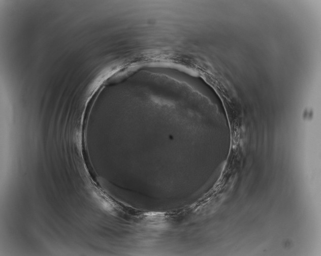X0000099290052200805090940