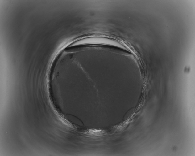 X0000099290055200805090940