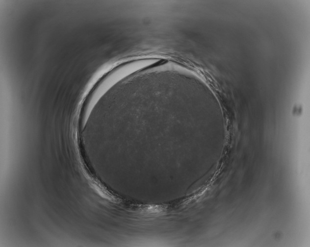 X0000099290056200805090940