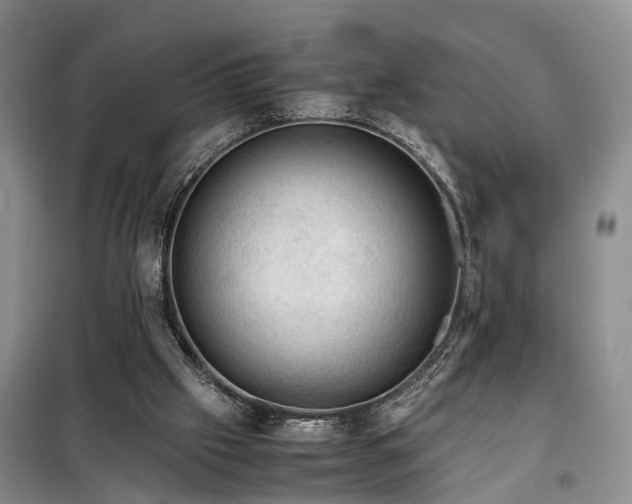 X0000099290057200805090940