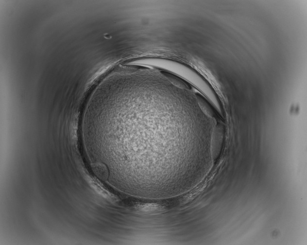 X0000099290058200805090940
