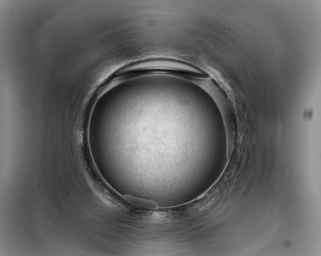 X0000099290060200805090940