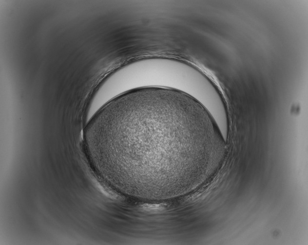 X0000099290061200805090940