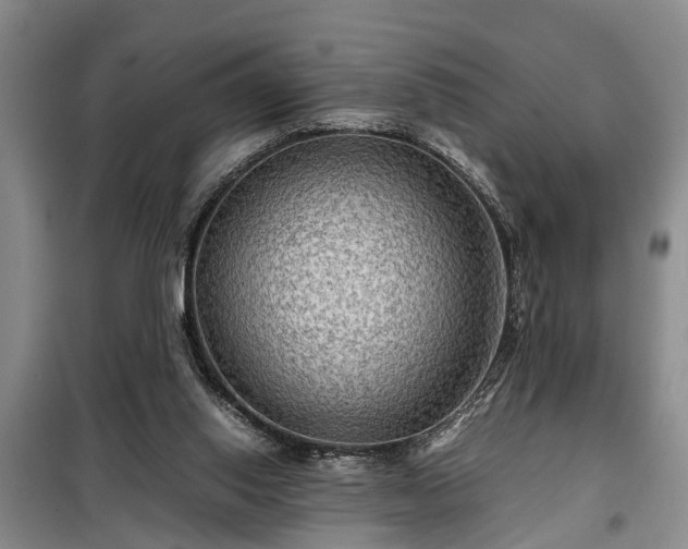 X0000099290062200805090940