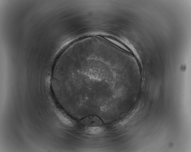 X0000099290063200805090940