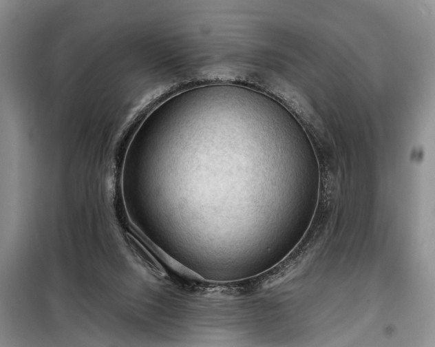 X0000099290064200805090940