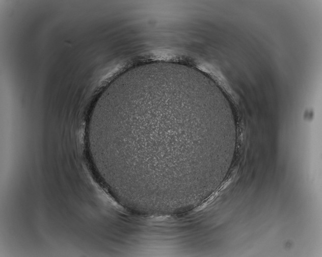 X0000099290066200805090940
