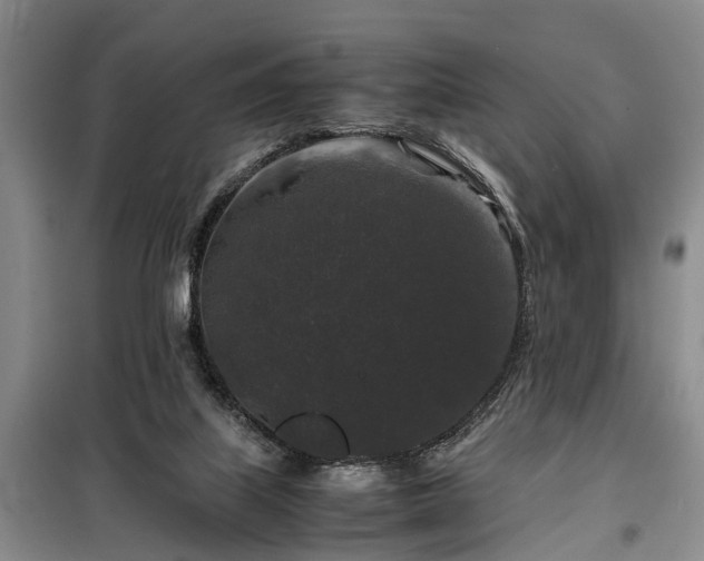 X0000099290067200805090940