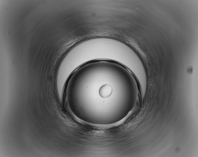 X0000099290068200805090940