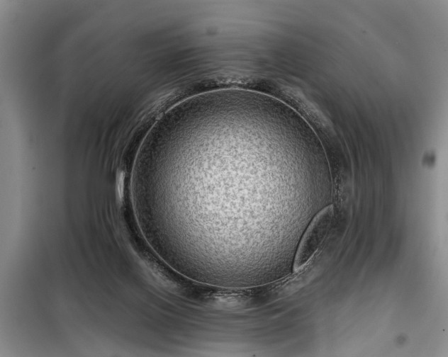 X0000099290070200805090940