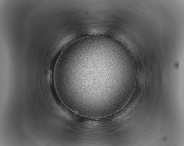 X0000099290071200805090940