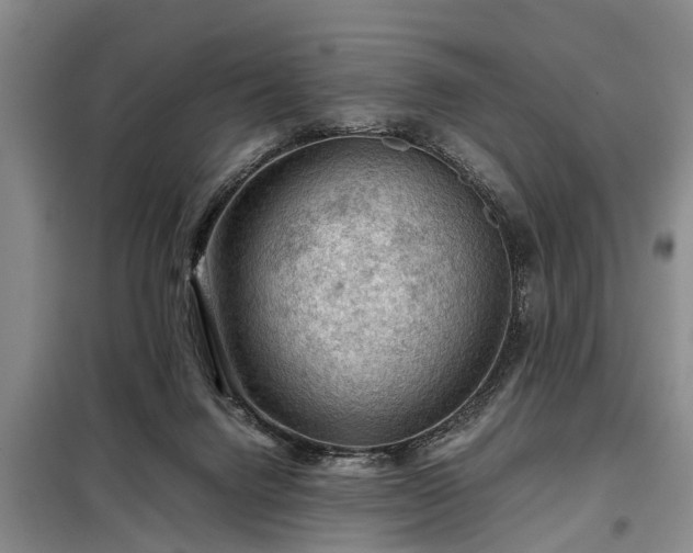 X0000099290072200805090940