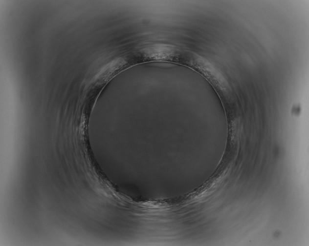 X0000099290073200805090940