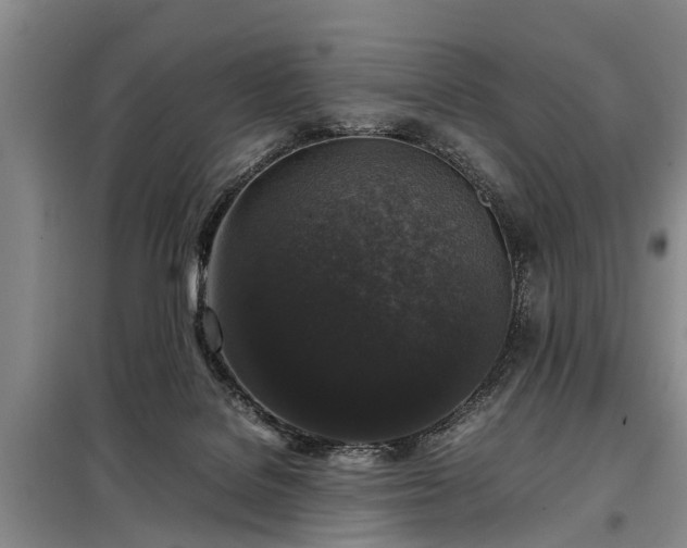 X0000099290076200805090940