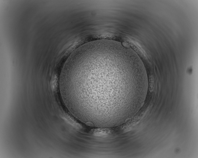 X0000099290077200805090940