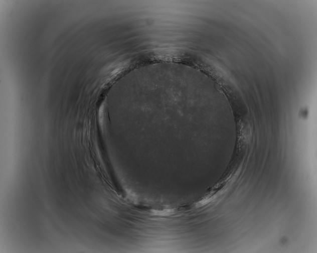 X0000099290080200805090941