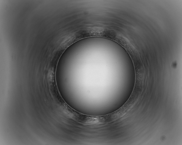 X0000099290083200805090941