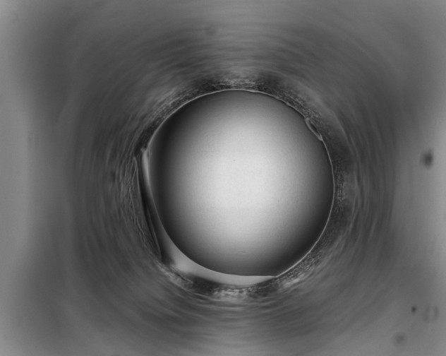 X0000099290084200805090941