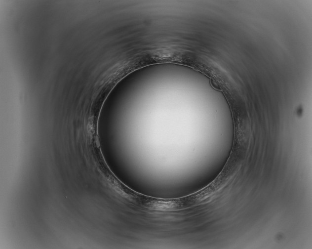 X0000099290085200805090941