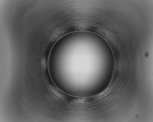 X0000099290086200805090941