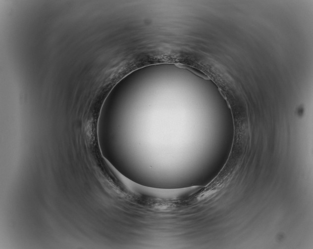 X0000099290088200805090941