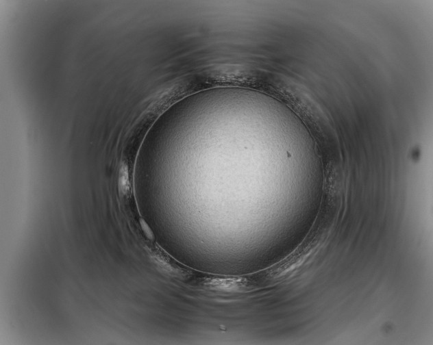 X0000099290089200805090941