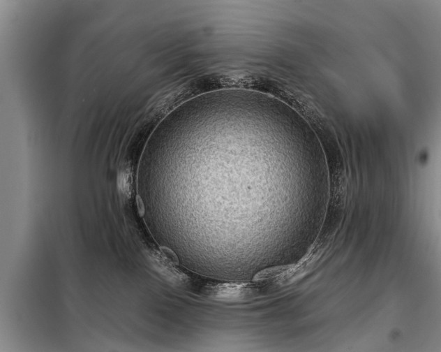 X0000099290090200805090941