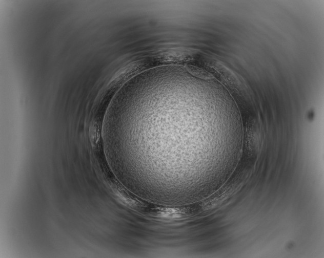 X0000099290091200805090941