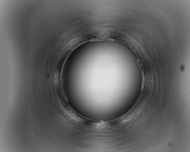 X0000099290092200805090941