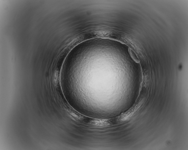 X0000099290093200805090941