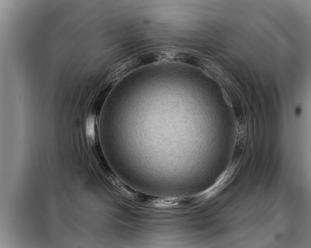 X0000099290094200805090941