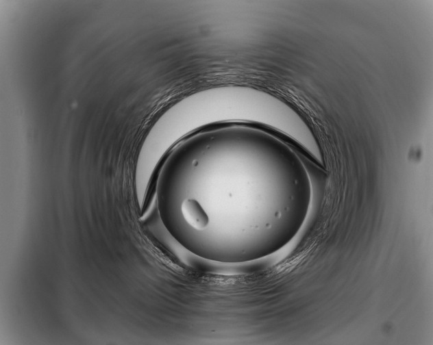 X0000099290096200805090941