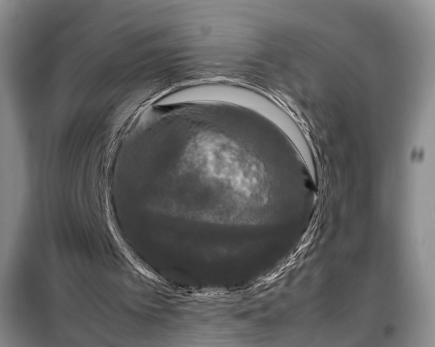 X0000099290097200805090940